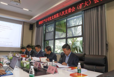 蜀能礦產(chǎn)召開2022年第8次支部委員會（擴(kuò)大）會議