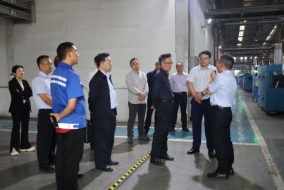 省經(jīng)濟(jì)合作局托底性幫扶工作組到蜀能礦產(chǎn)磷酸鐵鋰廠(chǎng)調(diào)研