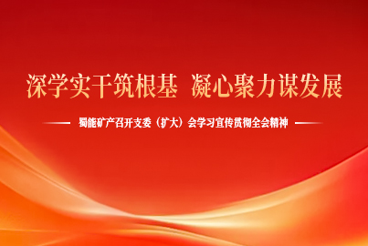 深學實干筑根基 凝心聚力謀發(fā)展&mdash;&mdash;蜀能礦產(chǎn)召開支委（擴大）會學習宣傳貫徹全會精神
